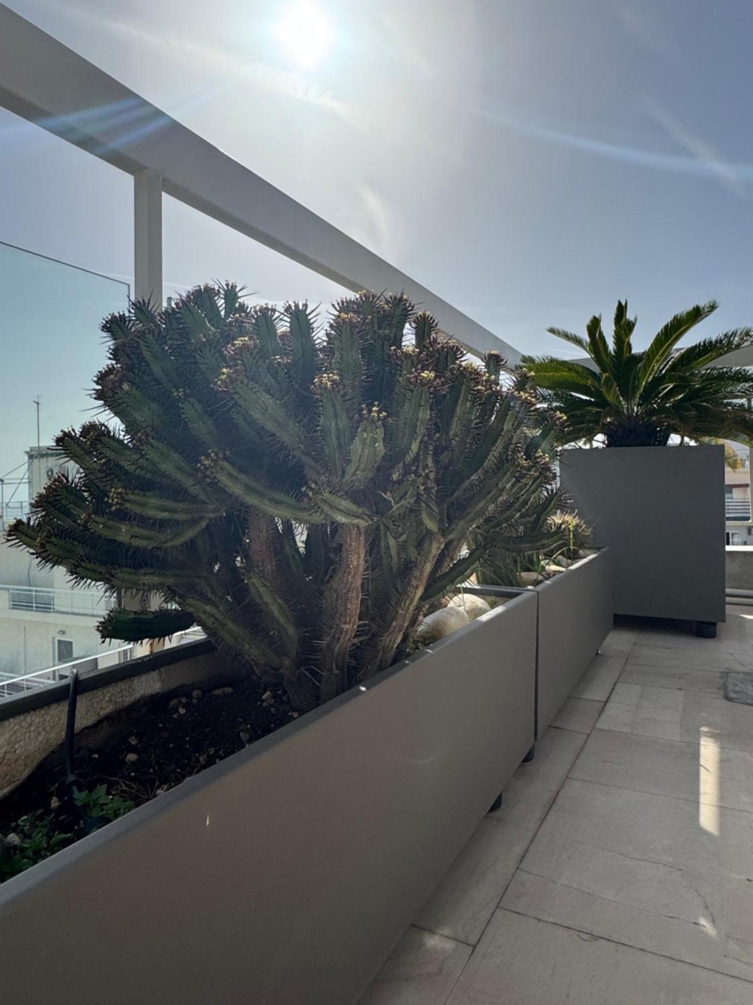Sea Horizon Penthouse Flat Daire Atina Dış mekan fotoğraf